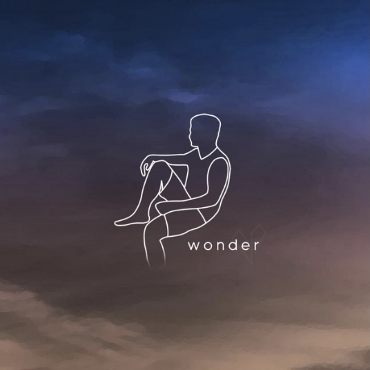 Wonder cover art